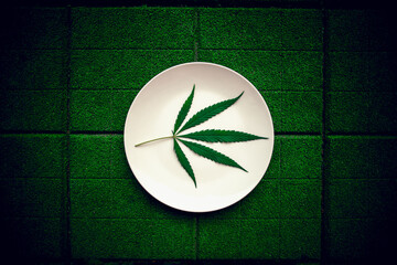 Cannabis leaf on a white plate. Floor tile background. cannabis live resin extraction on green background. Medical marijuana concept Top view