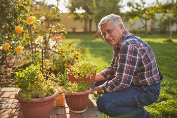 Naklejka na ściany i meble Enthusiastic gardener posing beside his potted plants