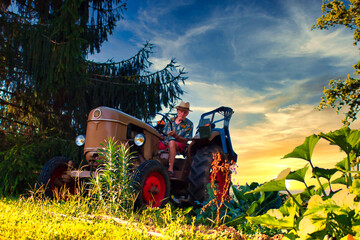 Un senior retraité travaille dans son jardin avec son tracteur vintage