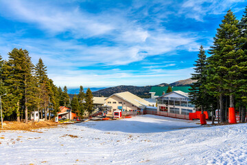 Naklejka premium Woman is walking in the forest on Uludag Mountain