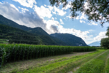 Fototapeta premium Austrian landscape in Tyrol
