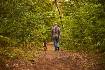 Grey-haired man and his german shepherd walking in the woods