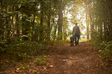 Fototapeta premium Gentleman and his dog walking through the forest