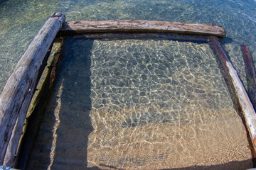 A square of logs in which water glitters beautifully on a sunny day