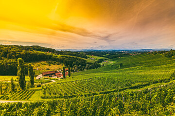 Fototapeta na wymiar South styria vineyards landscape. Grape hills view from wine road in south styria