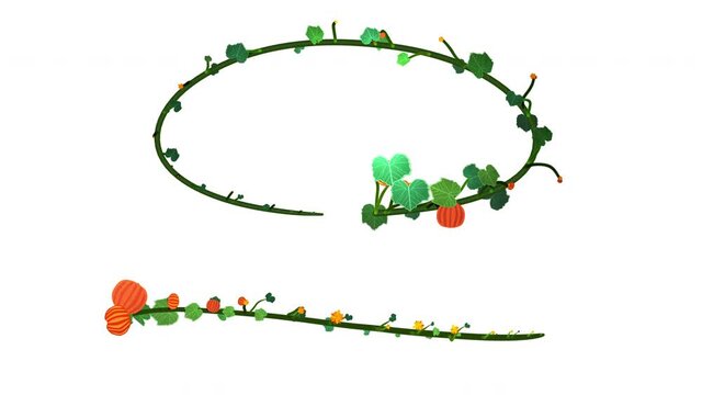 Floral decorative pattern design Nr. 20, pumpkins growing around a path. Use the included luma matte to create unique designs. Create corner frames, decorations for your text and titles