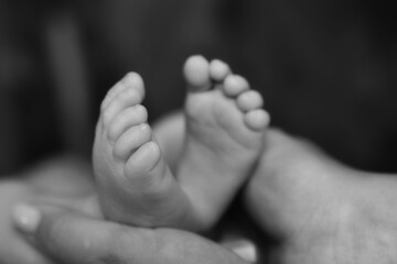 Fototapeta premium newborn baby feet