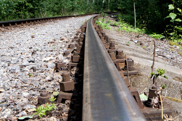 Old forest railway track with rusty rails going into the distance