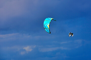 kite in the sky