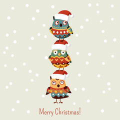 Funny owls in a Santa hat greet Christmas. Cute Christmas birds postcard or congratulation. Vector illustration in cartoon style
