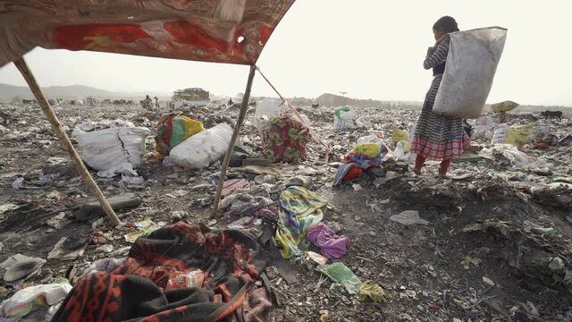 Young people working on landfill site recycling plastics and cardboard. India.