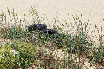 Used car tires remained in nature. The old unnecessary tire of car remained in the water. The...