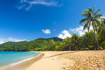 Grand Anse Beach in Guadeloupe