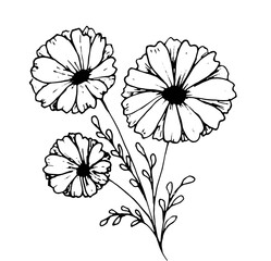 Hand drawn doodle flower. Isolated on white. Vector