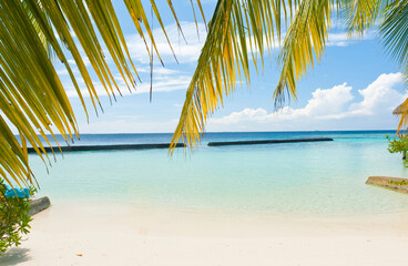 Fototapeta na wymiar Paradise island in the Maldives