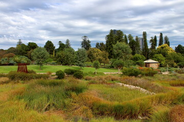Fototapeta na wymiar Adelaide Botanic Garden, Australia