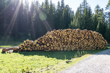 Wood stack in Austrian Alps