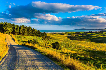 Dirt road among green fields