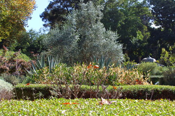 Adelaide Botanic Garden, Australia