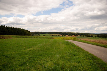 rural landscape with road