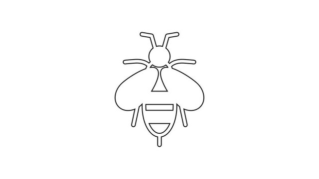 Black line Bee icon isolated on white background. Sweet natural food. Honeybee or apis with wings symbol. Flying insect. 4K Video motion graphic animation.
