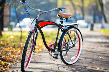 Fototapeta na wymiar City bike in a autumn park