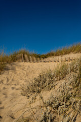 sand dunes in atlantic coastline in north Portugal