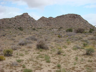 Joshua Tree National Park Arid Landscape Boulders Clouds Rabbit