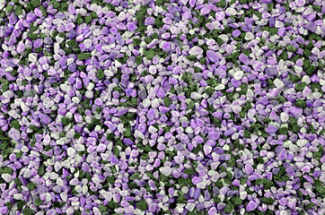 Naklejka premium Sea stones background Nature Sea eco River