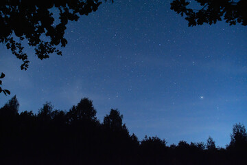 the night sky is framed by dark silhouettes of trees