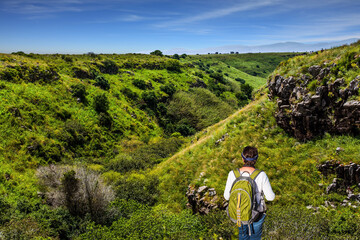  Flowering green slopes of the Golan