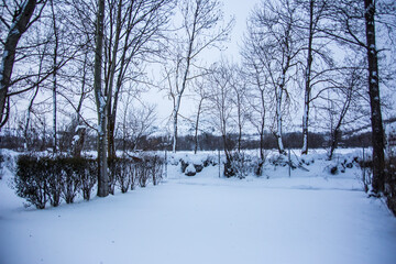 Winter camping in La Cerdanya, Pyrenees, Spain
