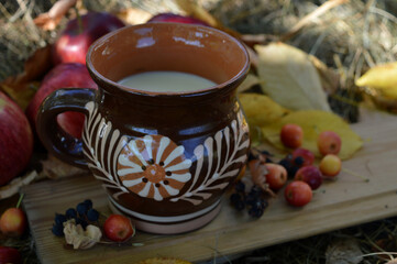 Obraz na płótnie Canvas Ceramic mug with milk on a board against a background of apples, dried grass and yellow cherry leaves
