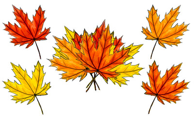 Set of digital sketch maple leaves and bouquet. Arrangement of autumn colored foliage isolated on white. Watercolor imitation bright dark and light colors with stains. Fall, bundle, natural product