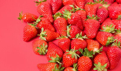 Ripe juicy orgaic strawberries on a red background.