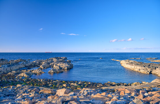 Macduff shorelines