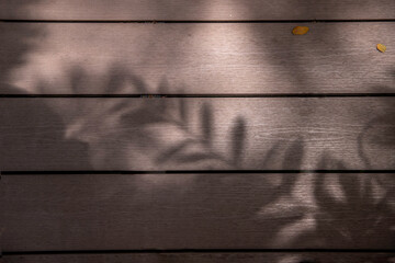 Shadows from tropical leaves on a wooden background.