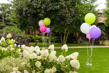 flowers in the garden, and  colorful balloons