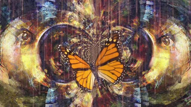 Under butterfly wing. Moving abstract art