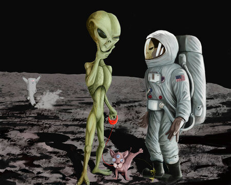 meeting on the moon astronauts and aliens