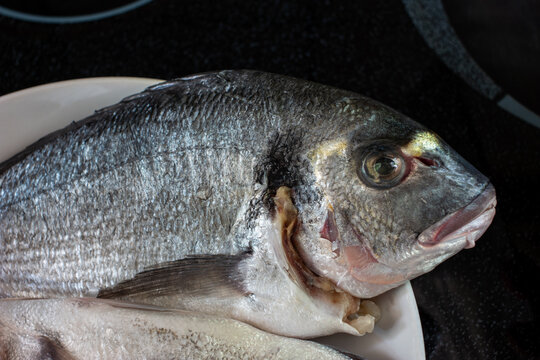 Market frozen silver sea bream raw uncooked fish sat on a white plate