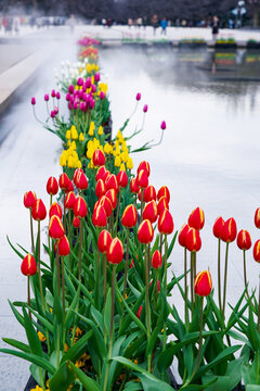 74 Best 噴水池 Images Stock Photos Vectors Adobe Stock