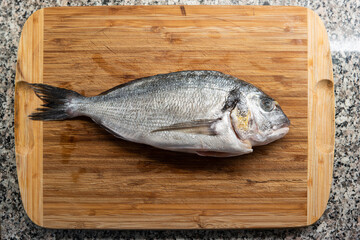 Market frozen silver sea bream raw uncooked fish top view sitting on a wooden board on a kitchen countertop
