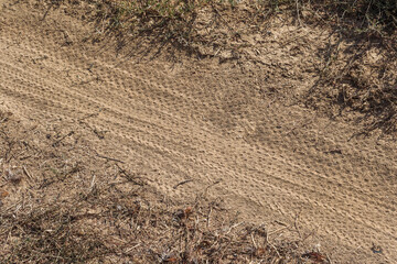 bike bus print in dust of dirt track of race track for cyclists. Texture of floor of path of wheel tire for background. A lot of the tracks from the bike wheels were imprinted on a dry dusty road