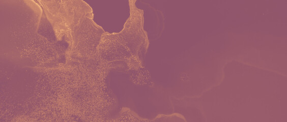 Ink Golden Surface. Brown Glitter Effect. Orange 