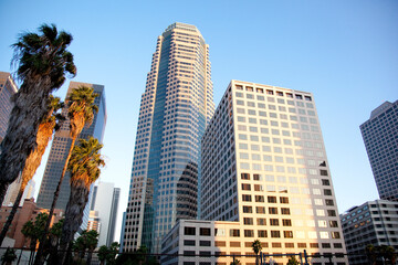 カリフォルニアの高層ビル群