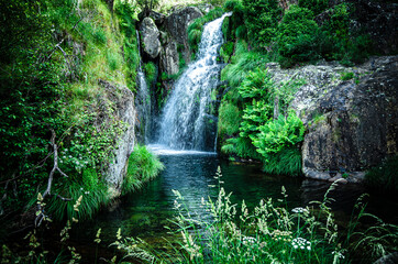 Fototapeta premium Cascata