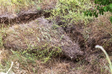 Landslide zone on Black Sea coast. Rock of sea rock shell. Zone of natural disasters during rainy season. Large masses of earth slip along slope of hill, destroy houses. Landslide - threat to life