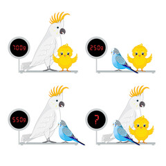 Mathematical Addition Subtraction Puzzle. System of equations. Math game with pictures for children, education game for kids, school worksheet activity, critical thinking. Weight game.