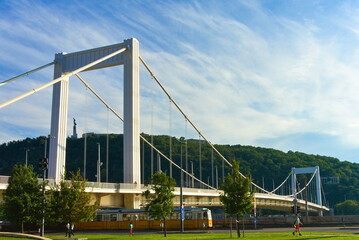 Fototapeta na wymiar Elisabeth Bridge Budapest